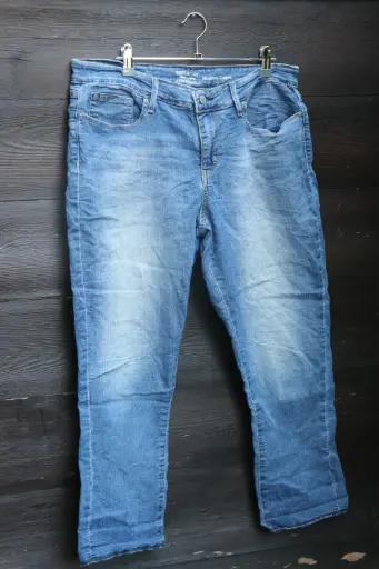Jean Levi's
